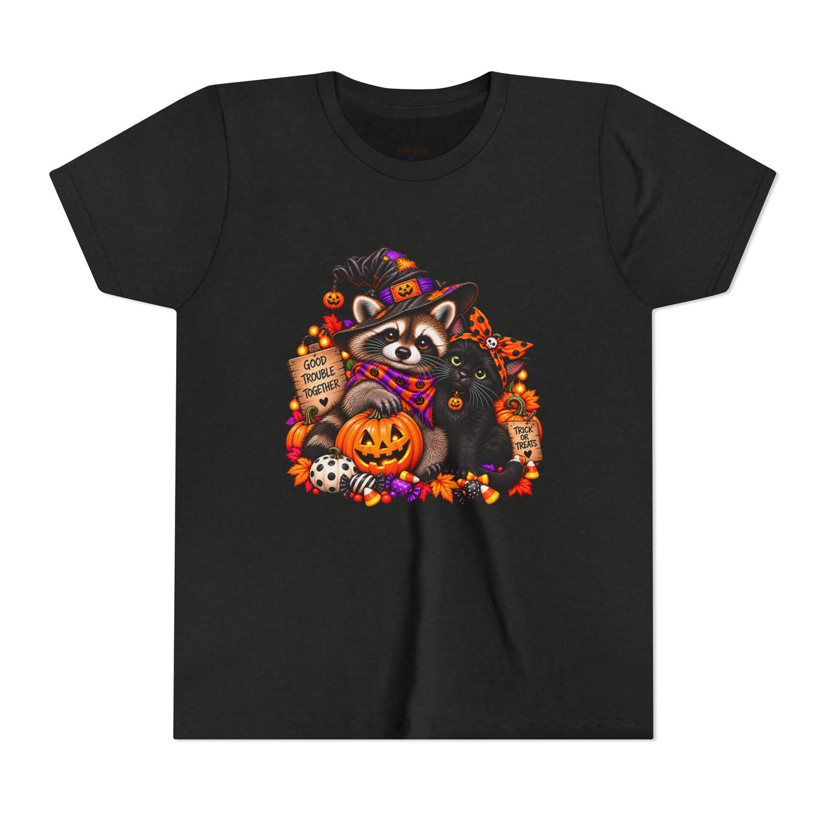 Halloween Youth Tee — Raccoon with it's Black Cat Bestie Kids Tshirt