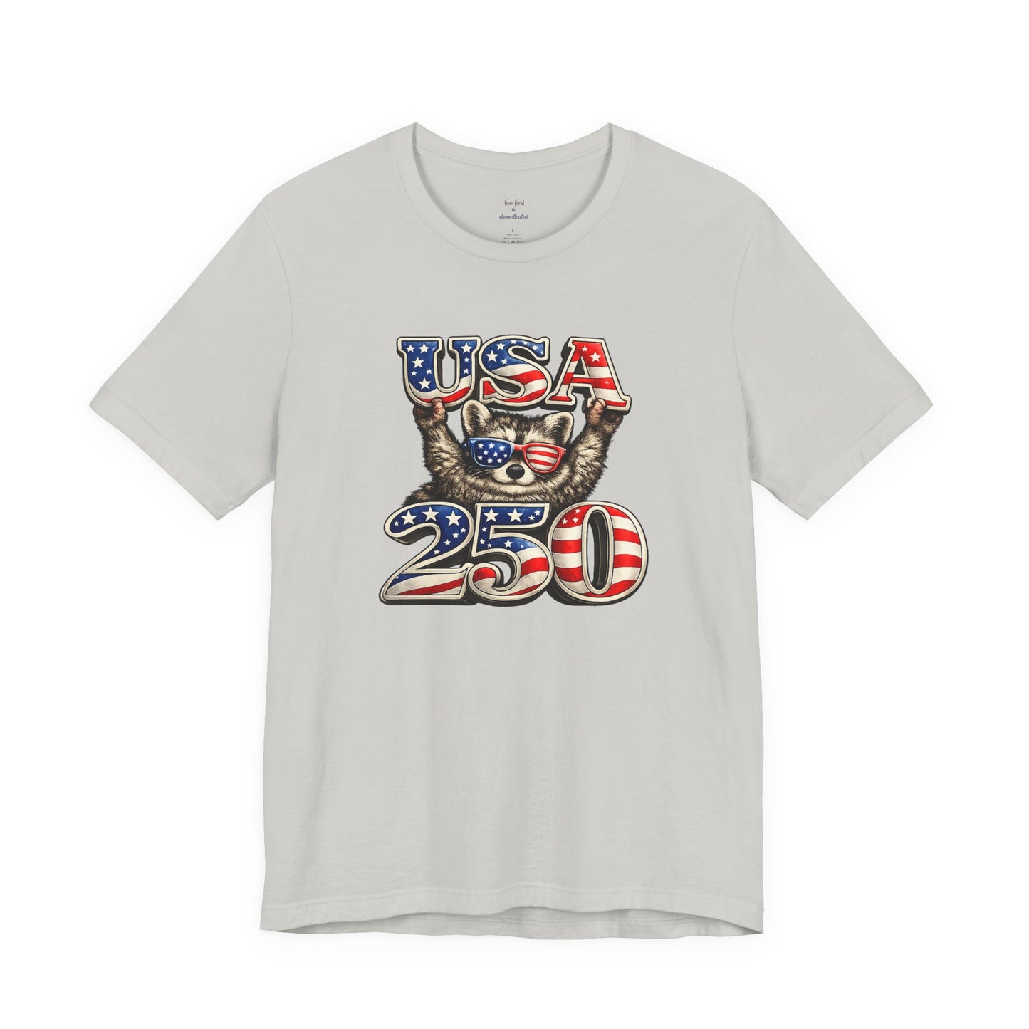 Patriot Raccoon 250th Anniversary T-Shirt — 4th of July Fireworks Flag Tee
