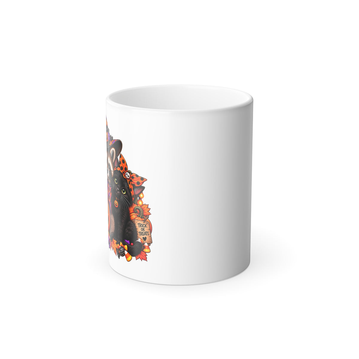 Halloween Raccoon and Black Cat Bestie Color-Changing Mug  11 oz
