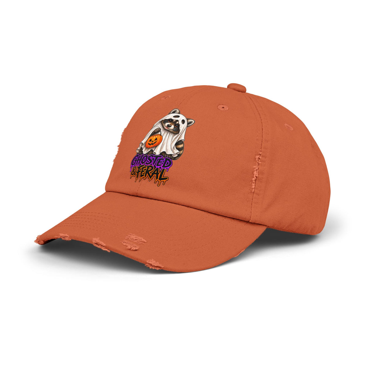 Ghosted Raccoon Distressed Baseball Hat