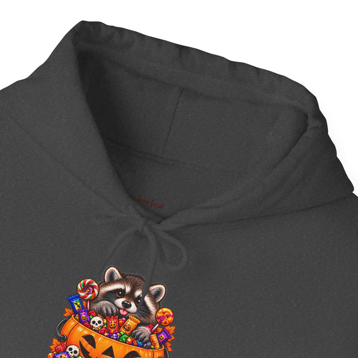 Trick or Trash Raccoon Hooded Sweatshirt