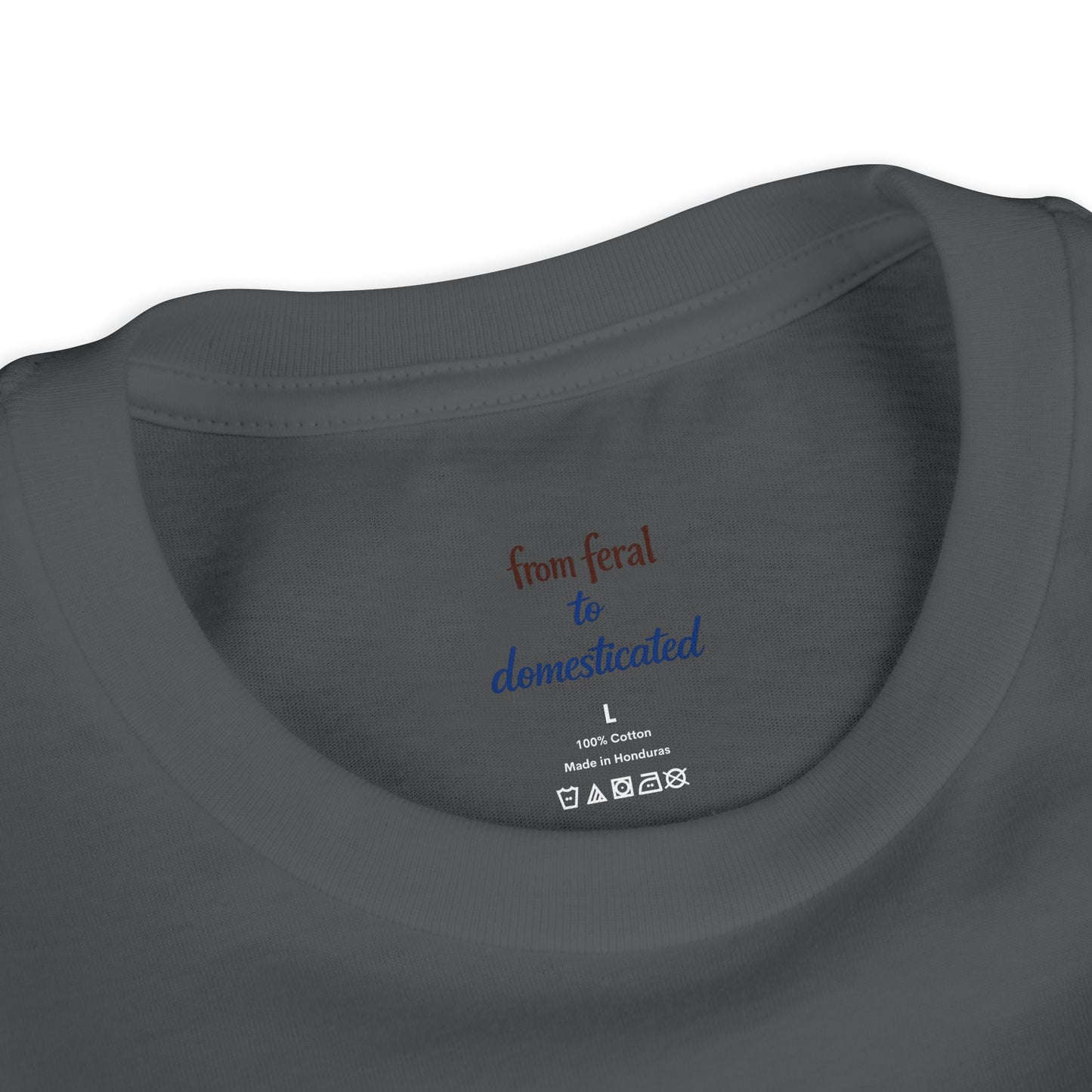 Patriotic Raccoon Youth Tee — Raccoon with USA 250