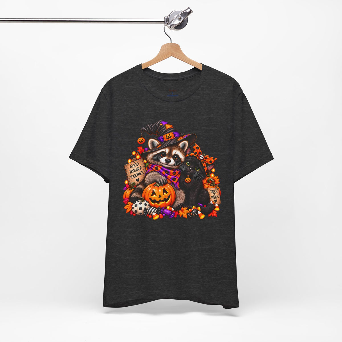 Halloween Raccoon and Black Cat T-Shirt
