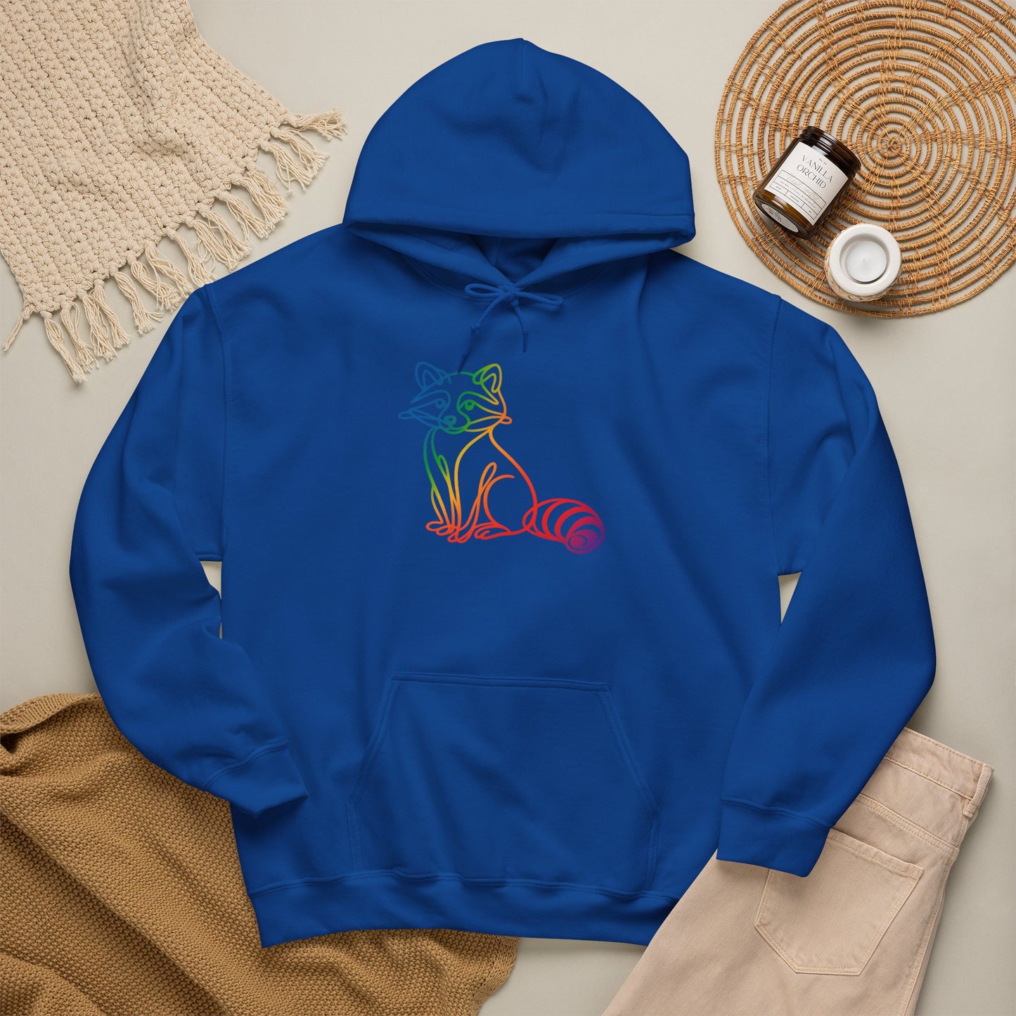 Rainbow Line Art Raccoon Hoodie