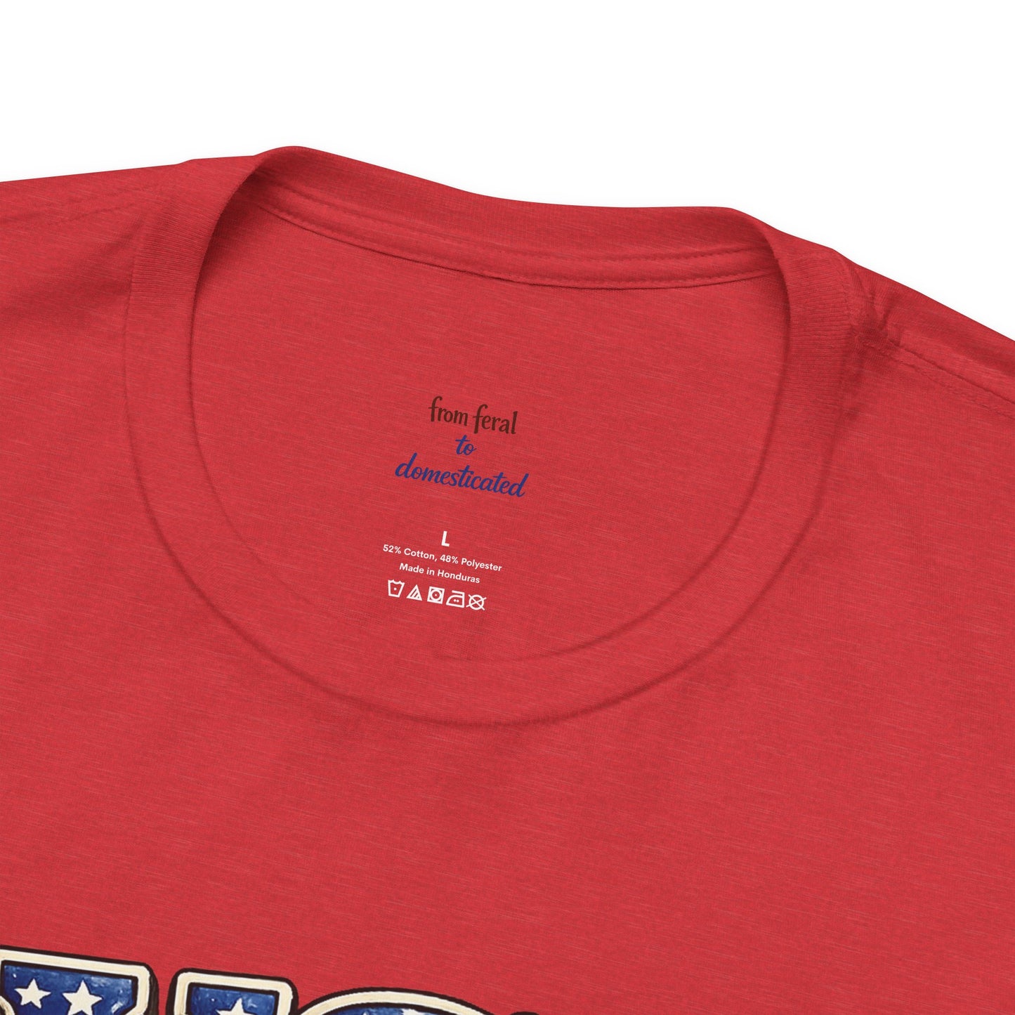 Patriot Raccoon 250th Anniversary T-Shirt — 4th of July Fireworks Flag Tee