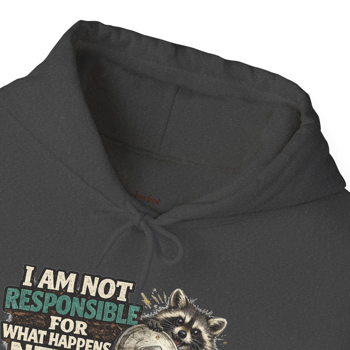 Not Responsible Raccoon Hooded Sweatshirt