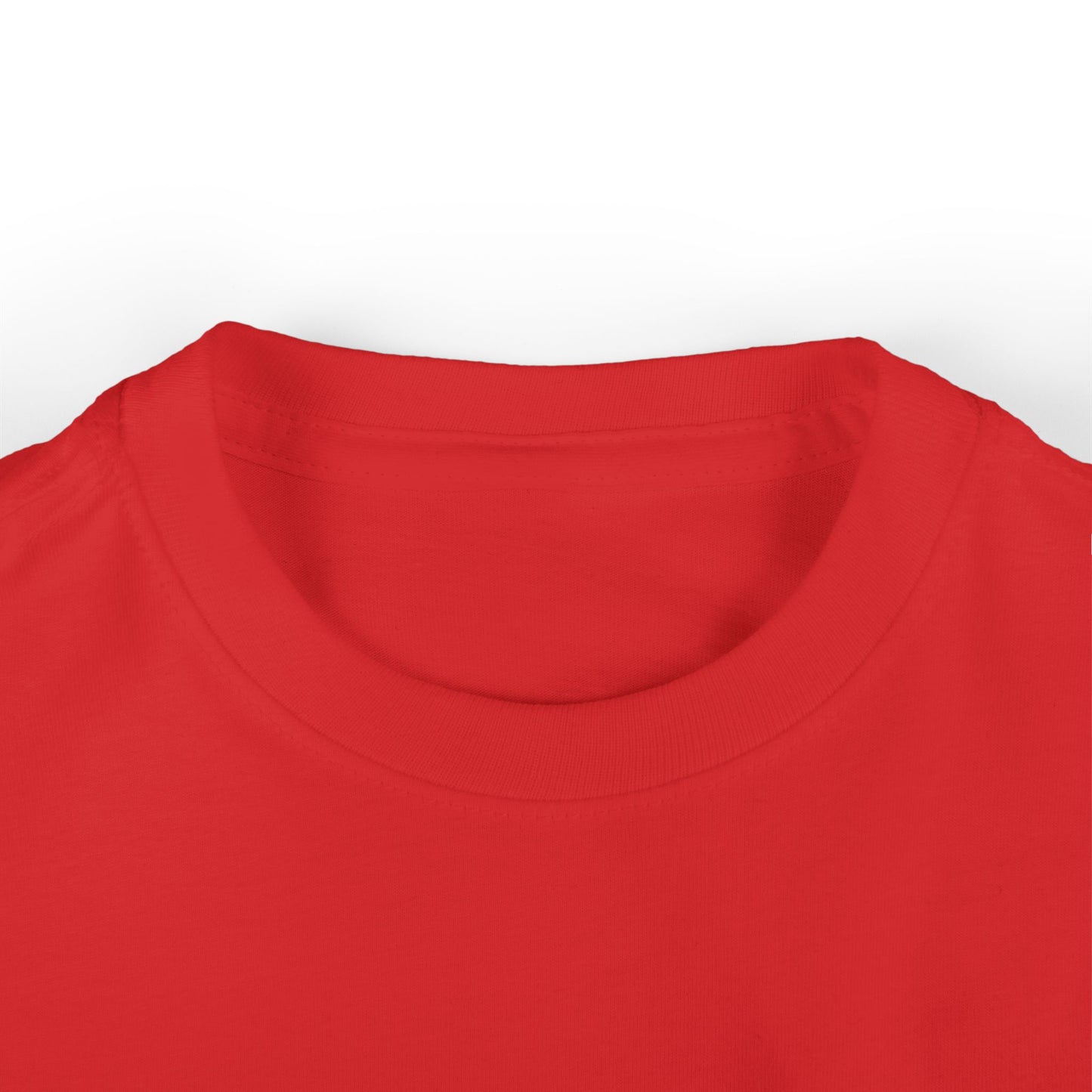 Infant Tee — Adorable 4th of July Raccoon —  Baby Shirt