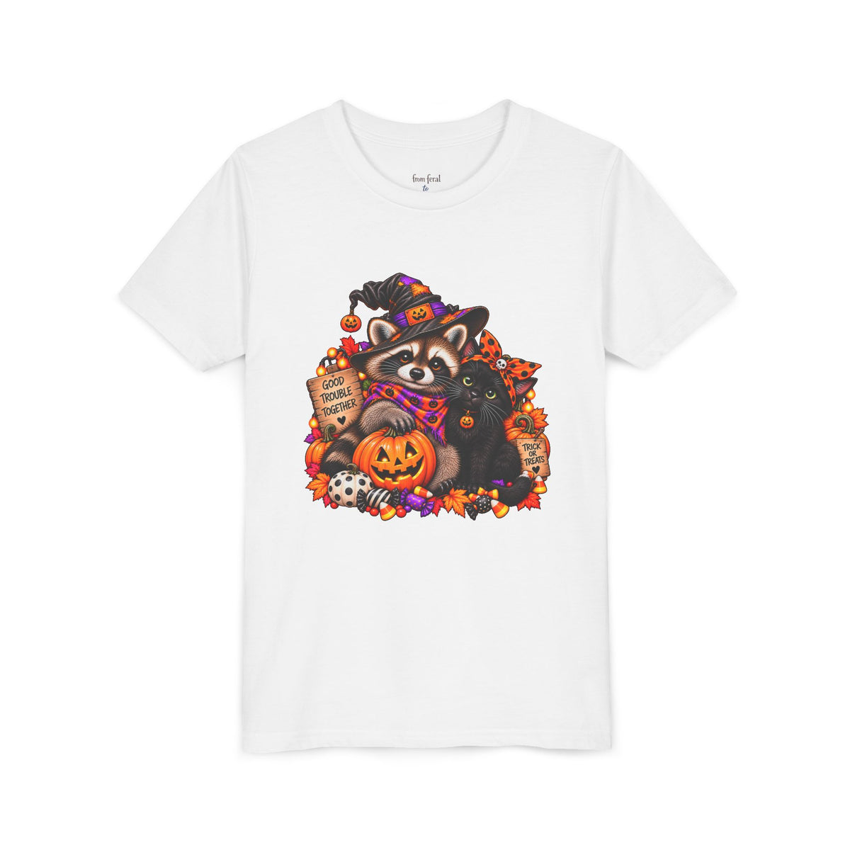 Halloween Youth Tee — Raccoon with it's Black Cat Bestie Kids Tshirt