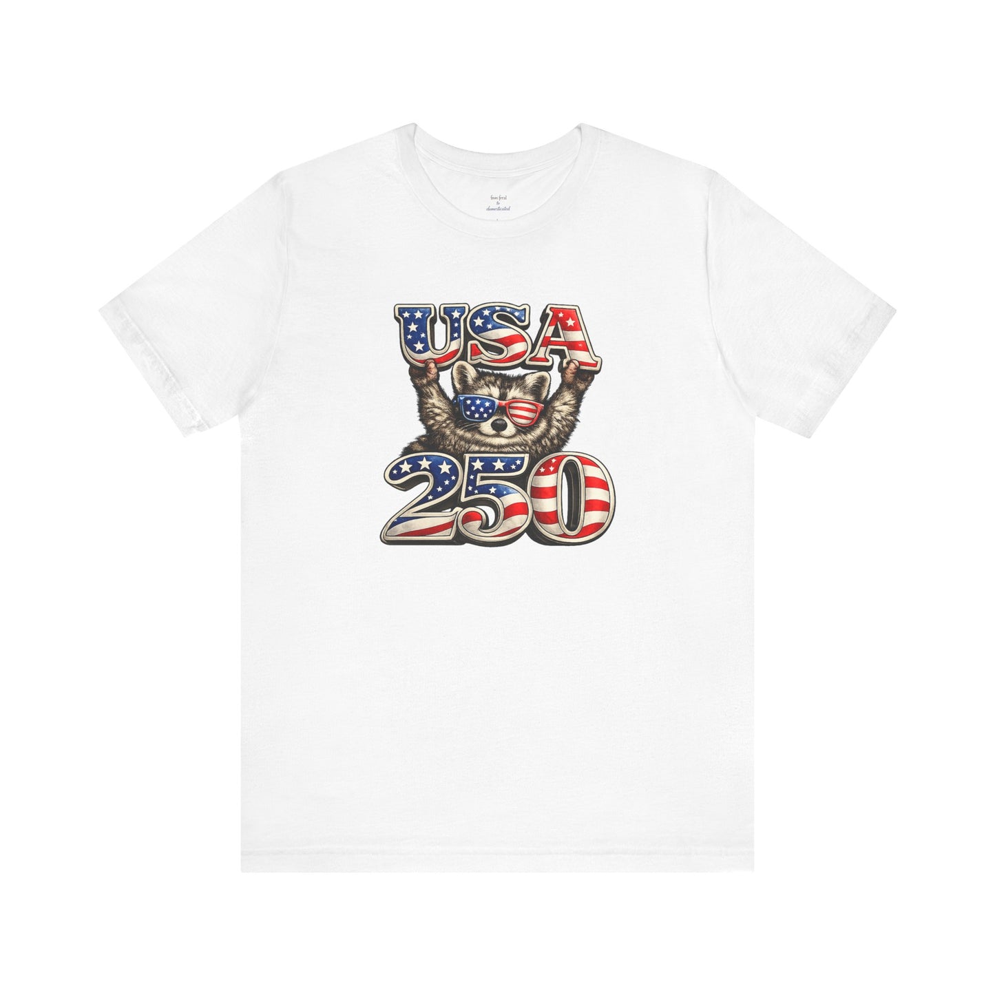 Patriot Raccoon 250th Anniversary T-Shirt — 4th of July Fireworks Flag Tee