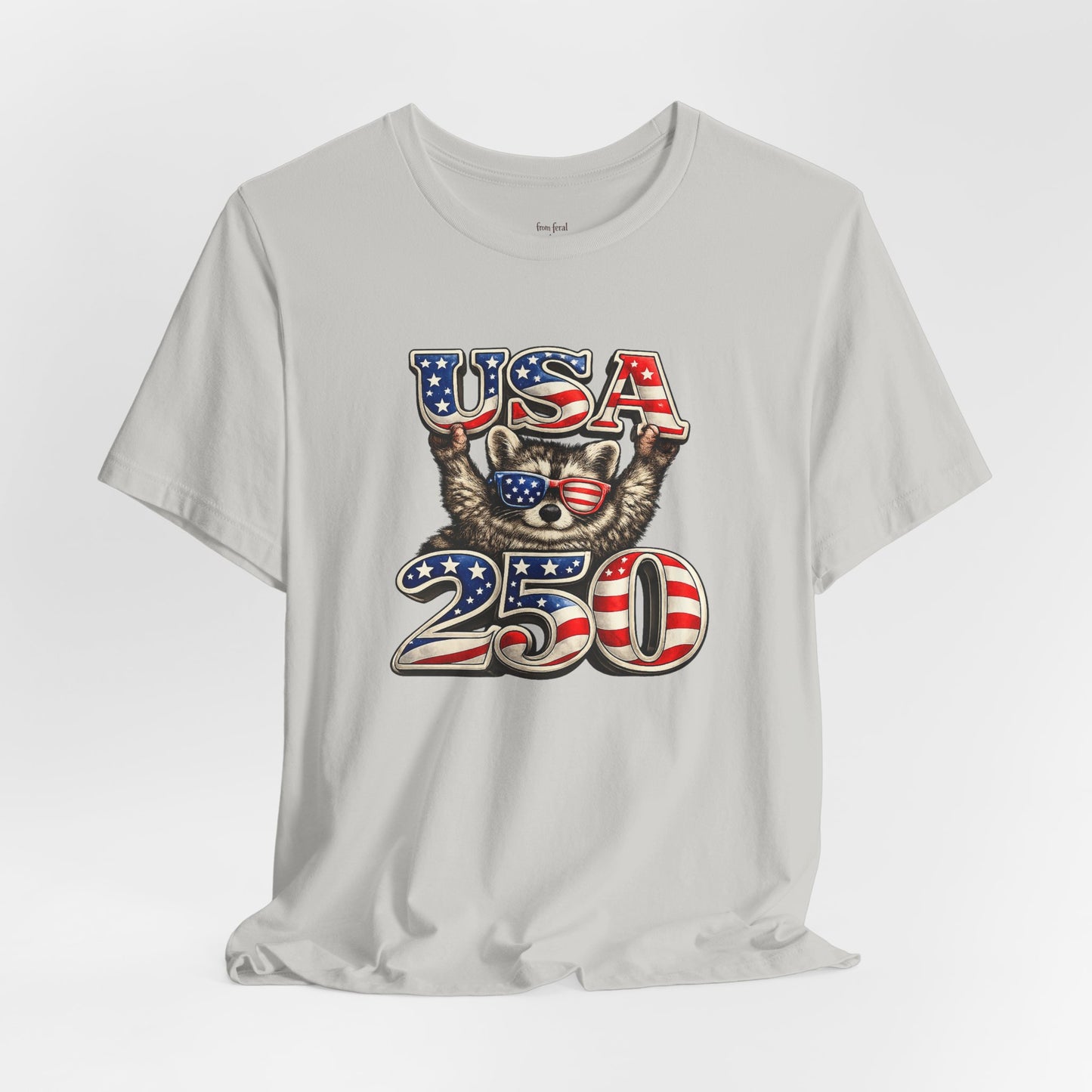 Patriot Raccoon 250th Anniversary T-Shirt — 4th of July Fireworks Flag Tee