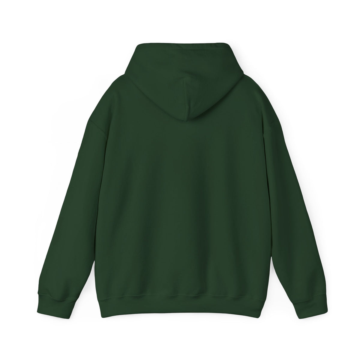 Northern Lights Cat Hooded Sweatshirt