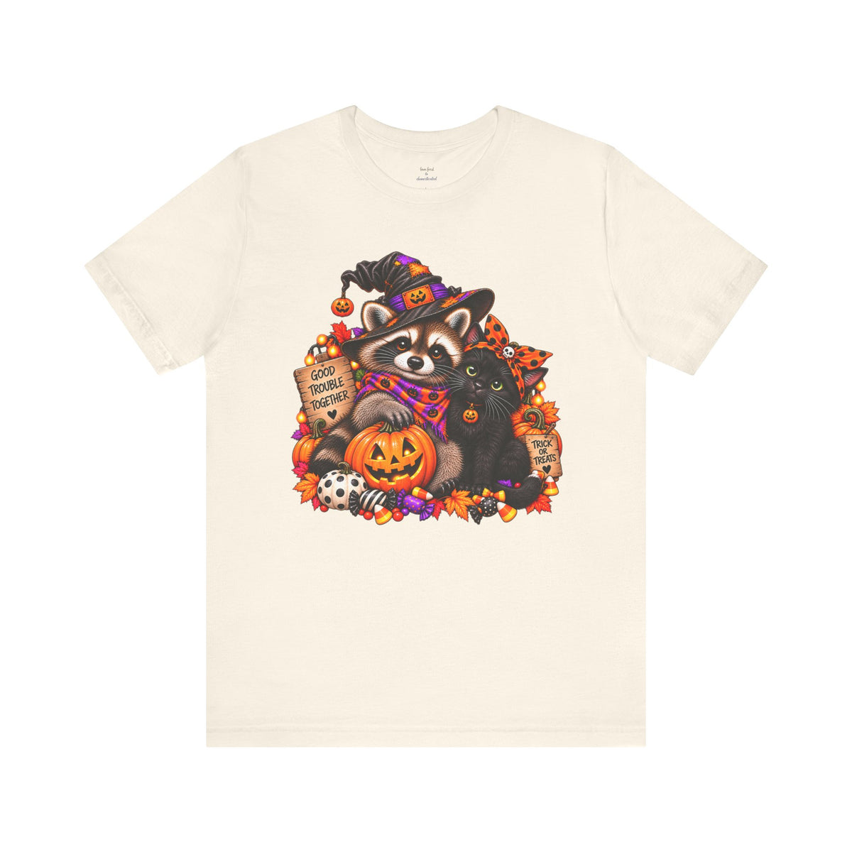 Halloween Raccoon and Black Cat T-Shirt