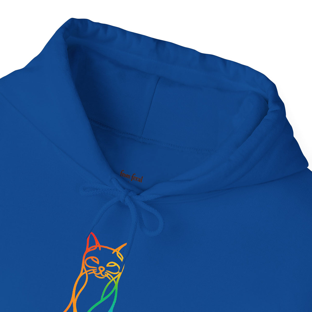 Rainbow Cat Hooded Sweatshirt