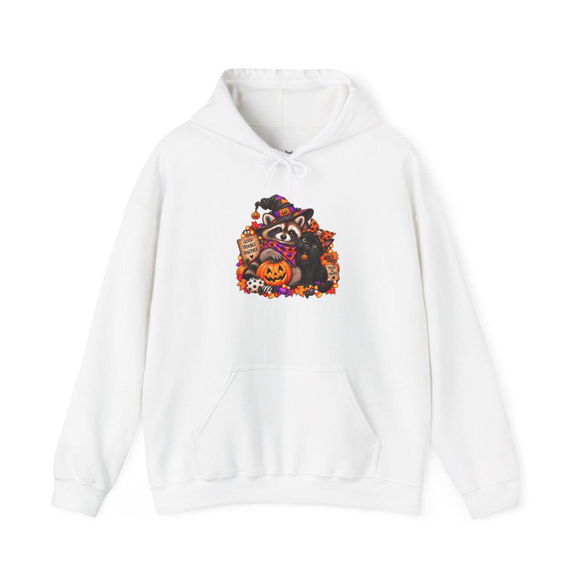 Halloween Raccoon and Black Cat Bestie Hooded Sweatshirt