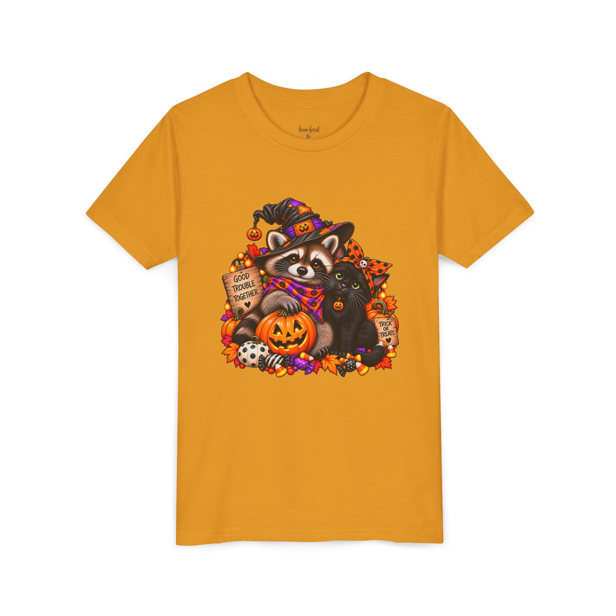 Halloween Youth Tee — Raccoon with it's Black Cat Bestie Kids Tshirt