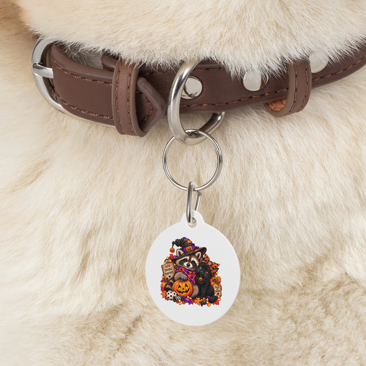 Halloween Pet Tag