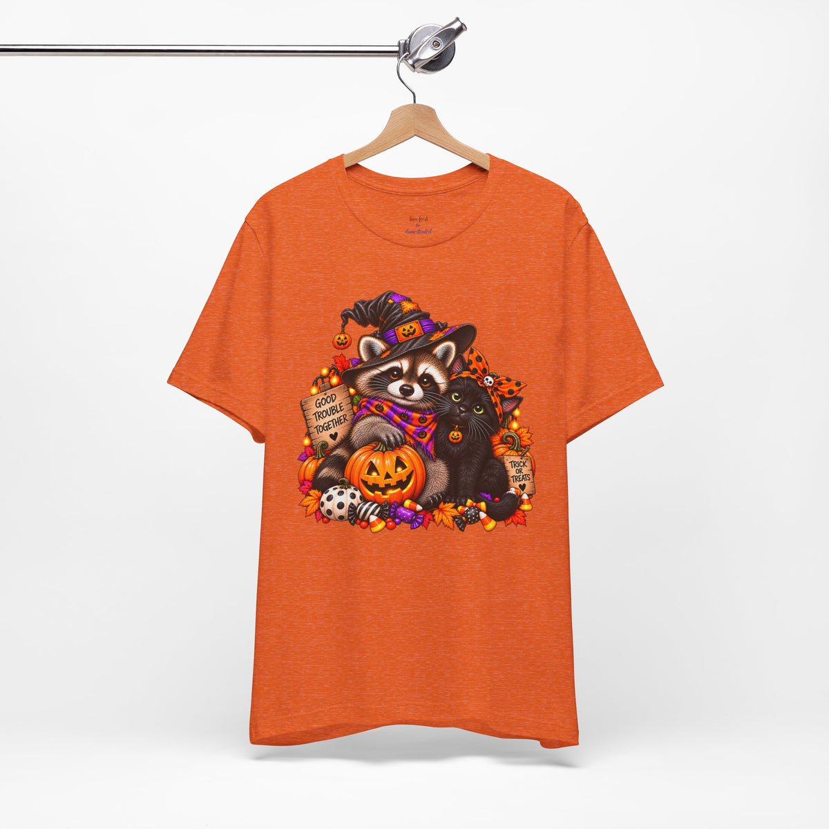 Halloween Raccoon and Black Cat T-Shirt