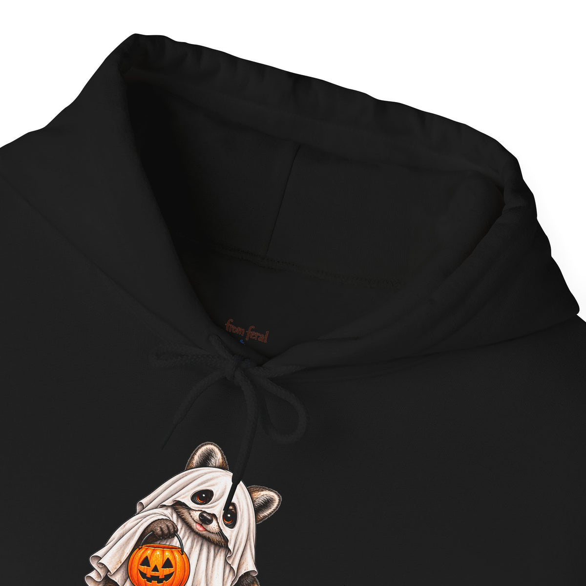 Ghosted Raccoon Hooded Sweatshirt