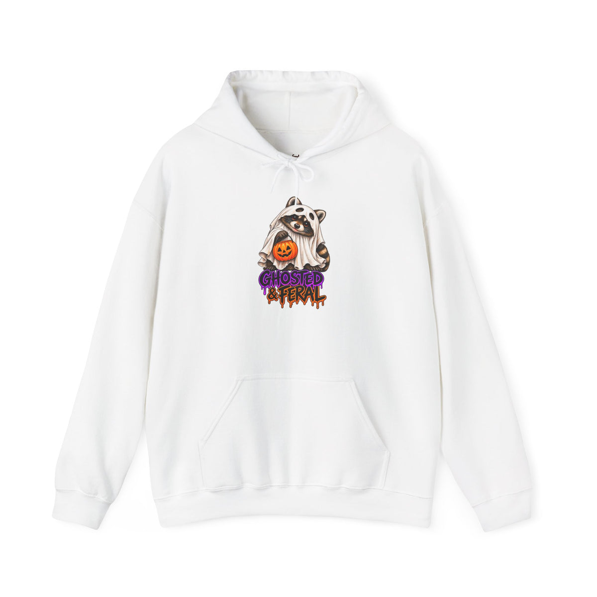 Ghosted Raccoon Hooded Sweatshirt