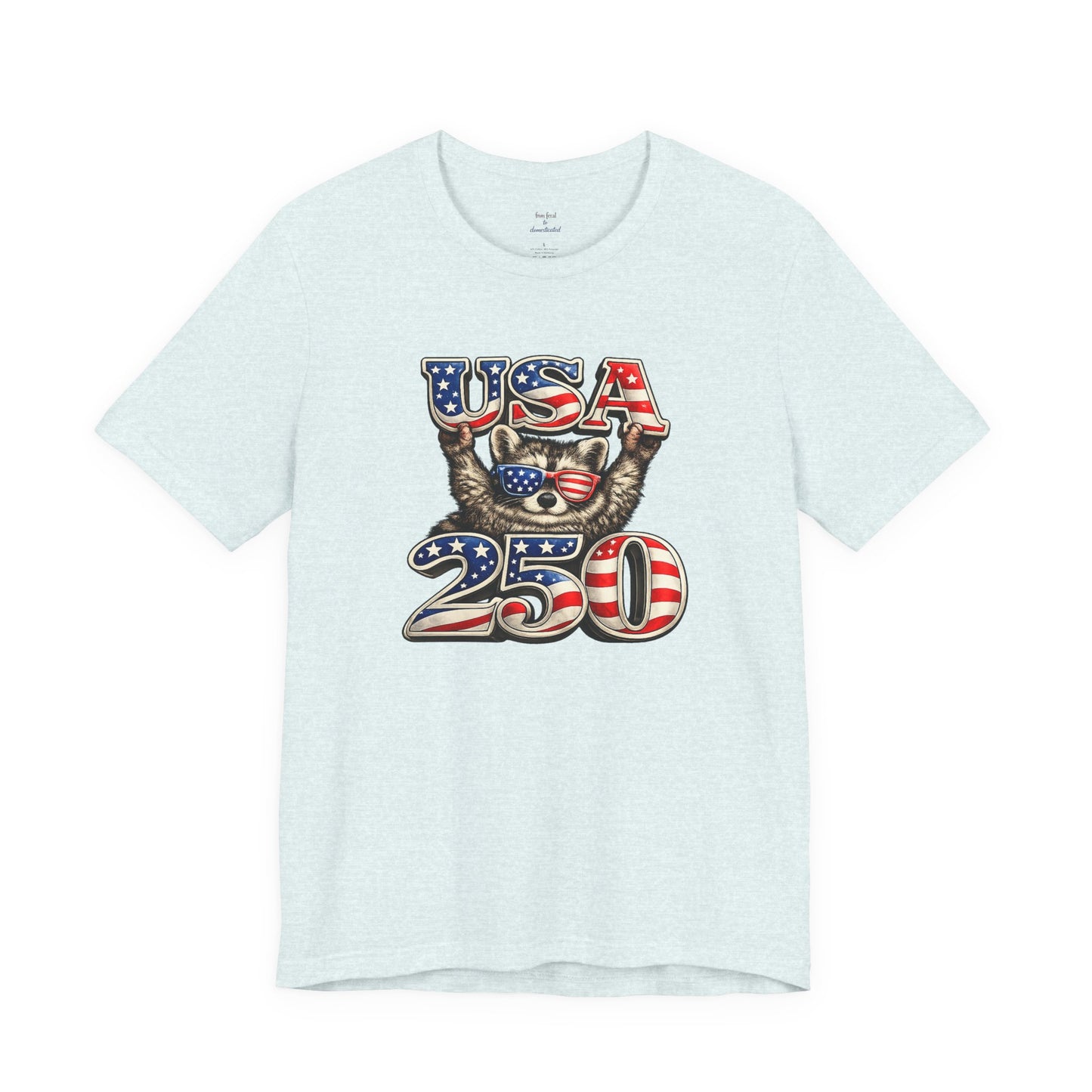 Patriot Raccoon 250th Anniversary T-Shirt — 4th of July Fireworks Flag Tee