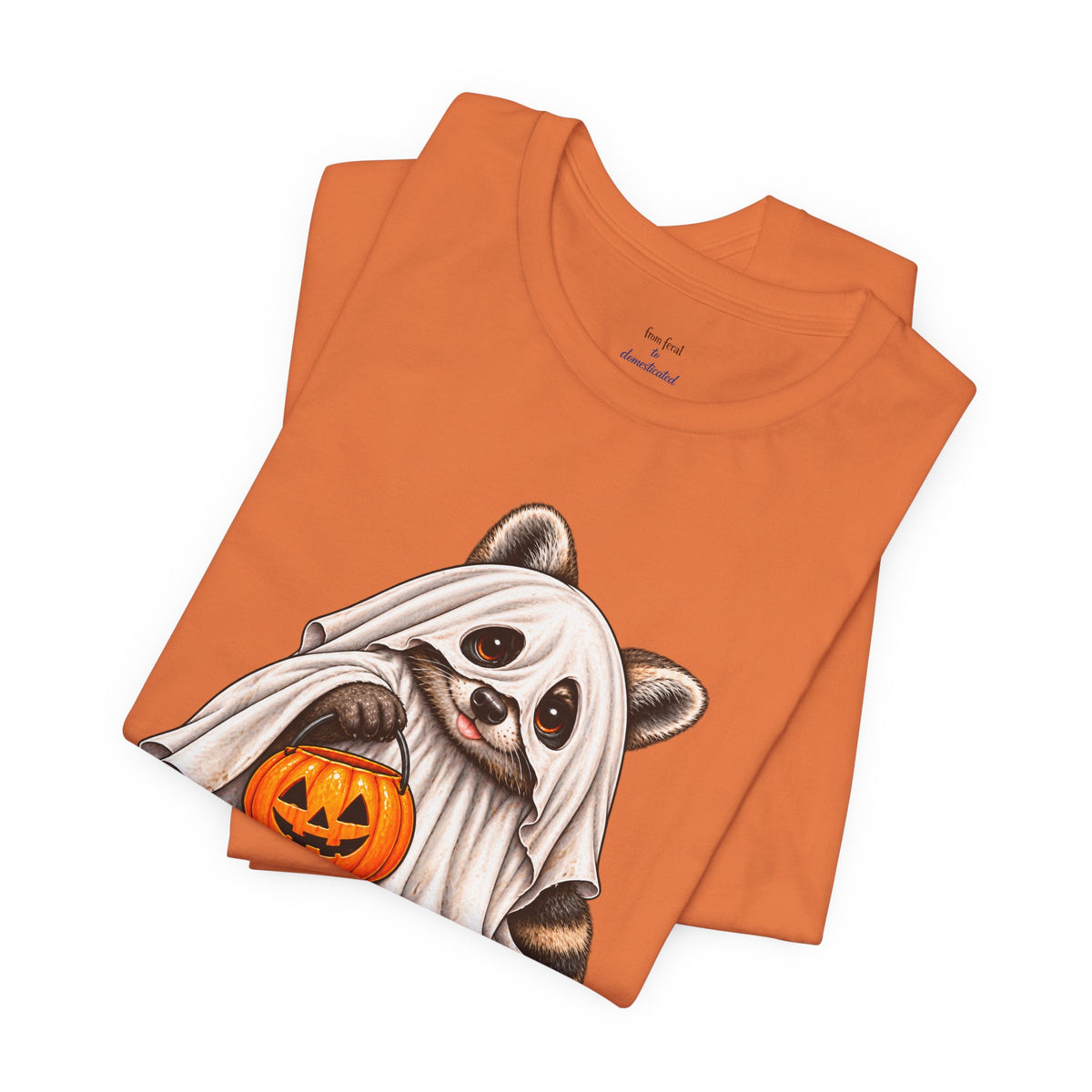 Ghosted Raccoon T-Shirt