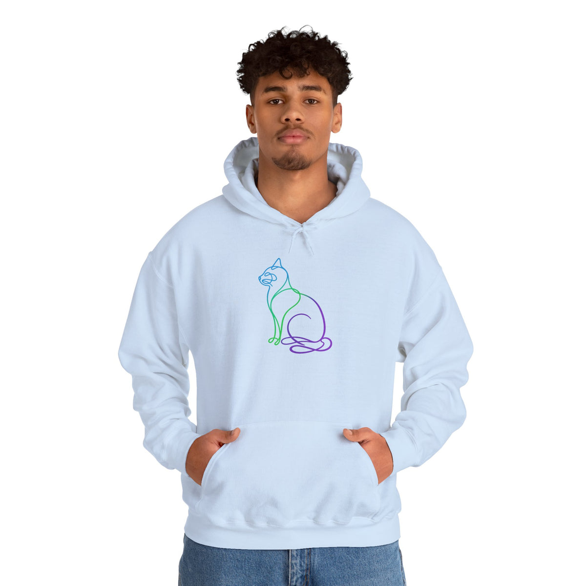 Northern Lights Cat Hooded Sweatshirt