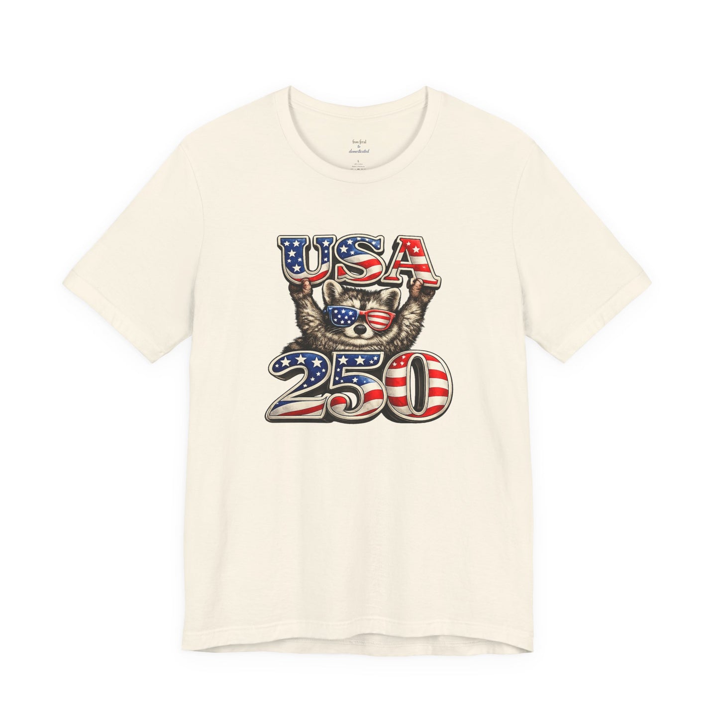 Patriot Raccoon 250th Anniversary T-Shirt — 4th of July Fireworks Flag Tee
