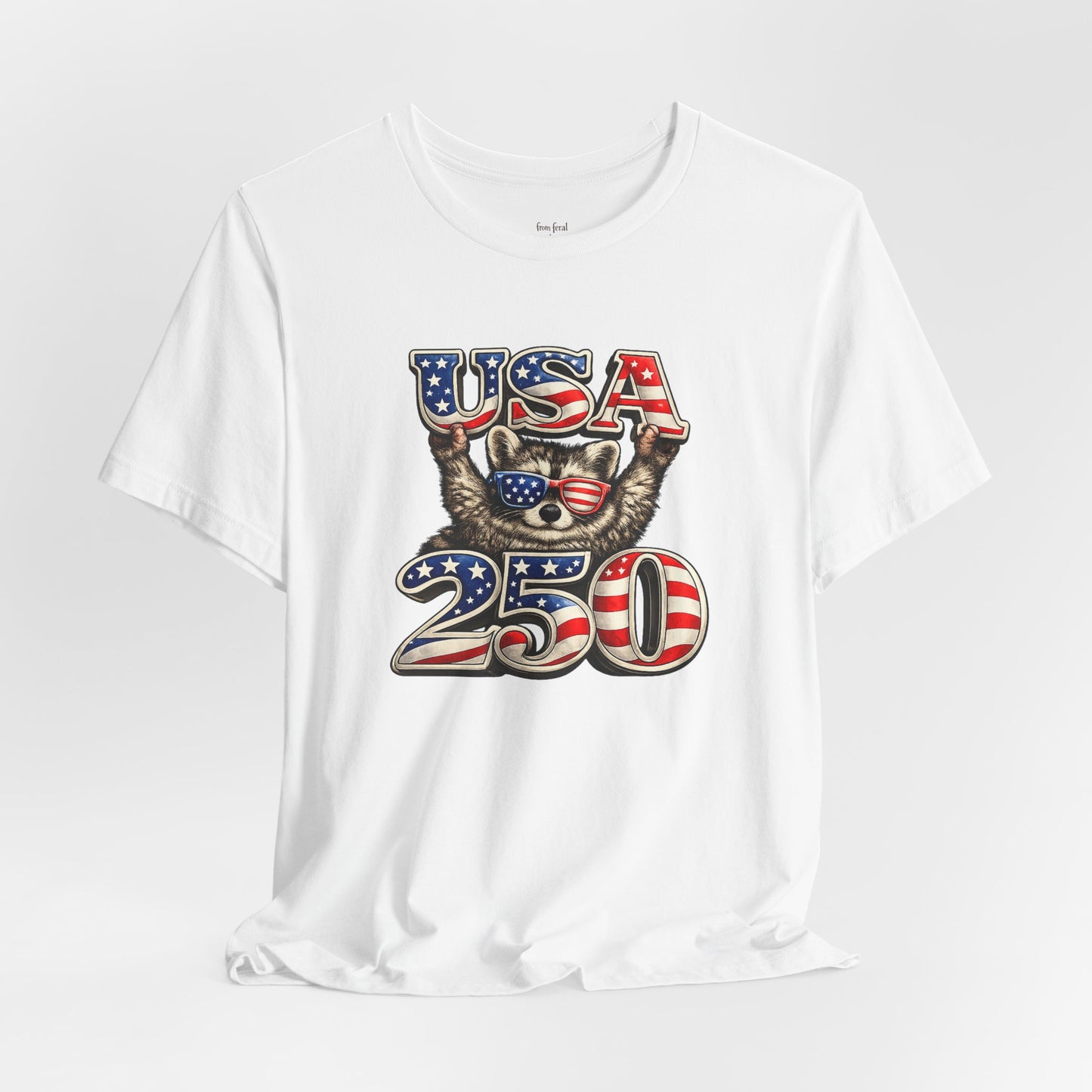 Patriot Raccoon 250th Anniversary T-Shirt — 4th of July Fireworks Flag Tee