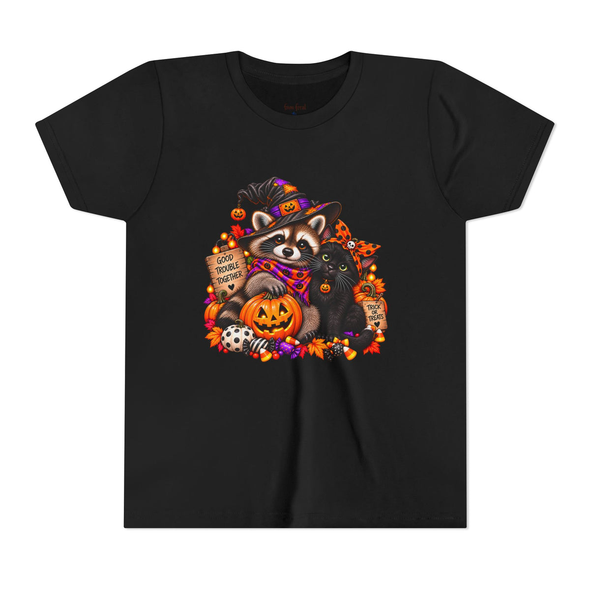 Halloween Youth Tee — Raccoon with it's Black Cat Bestie Kids Tshirt