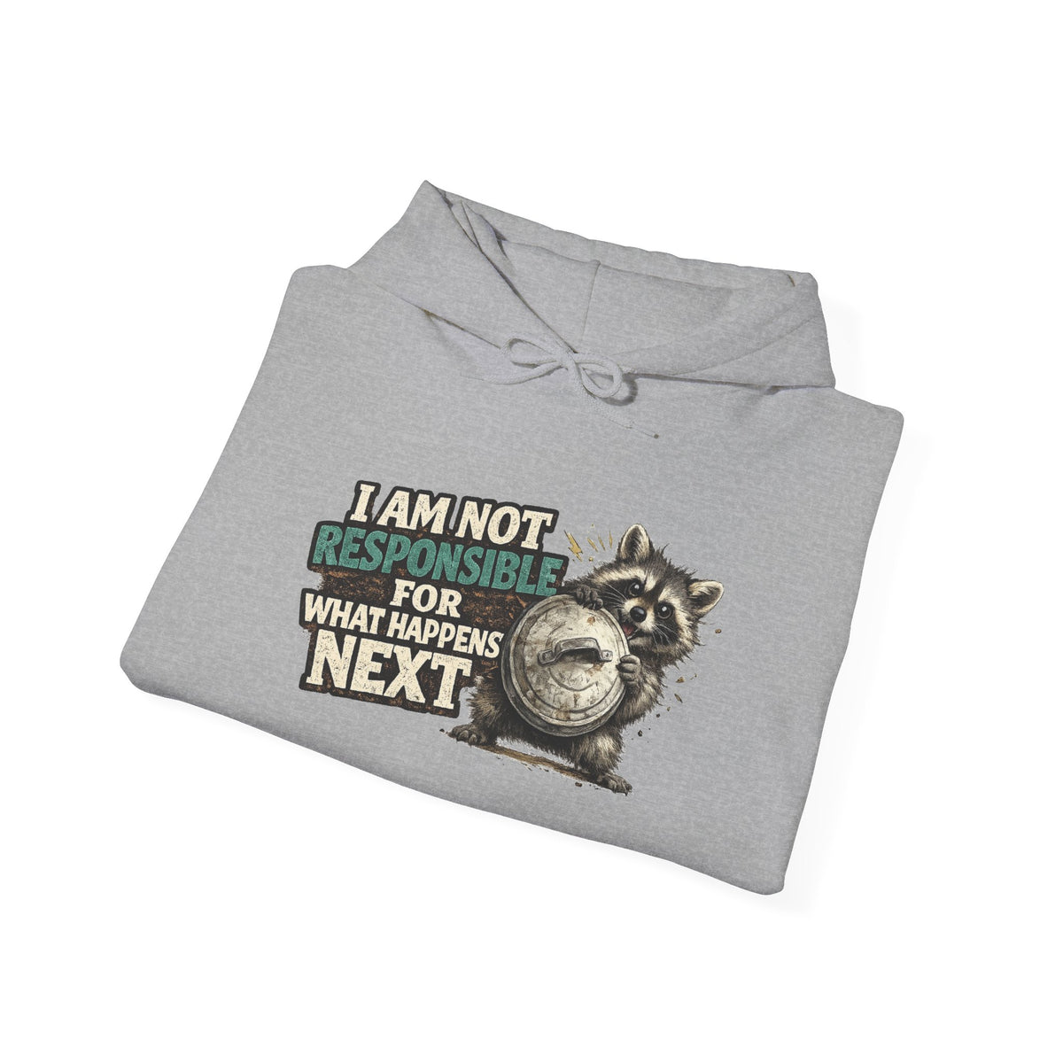 Not Responsible Raccoon Hooded Sweatshirt