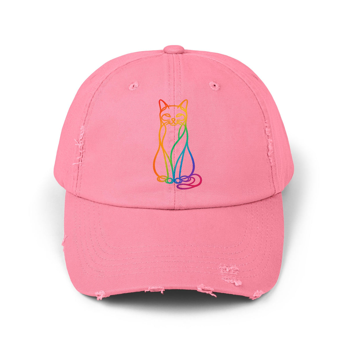 Rainbow Cat Distressed Cap