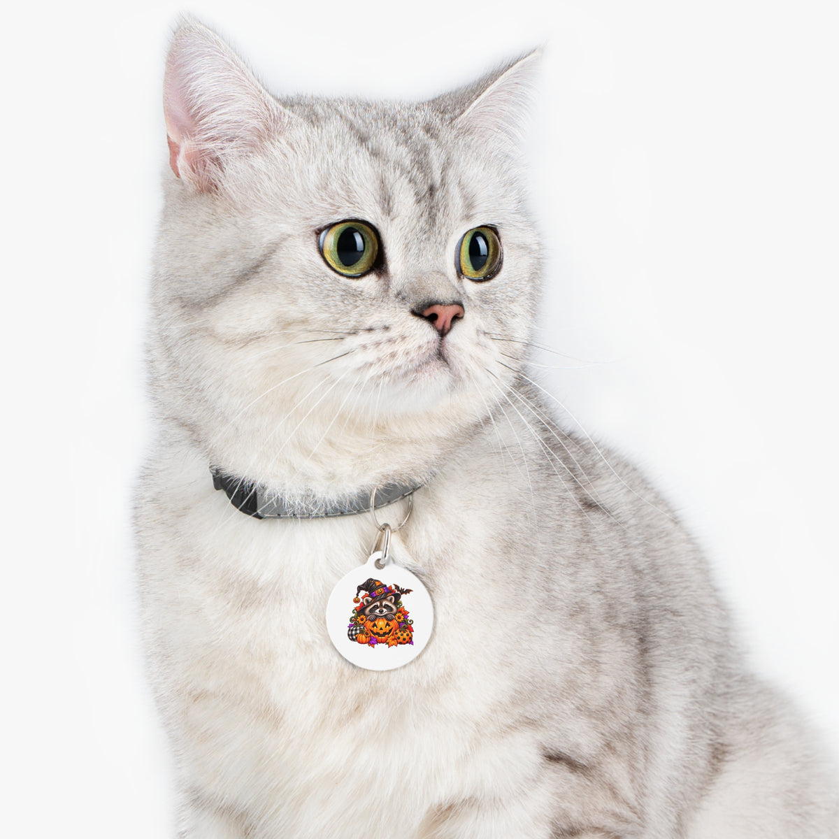 Halloween Pet Tag