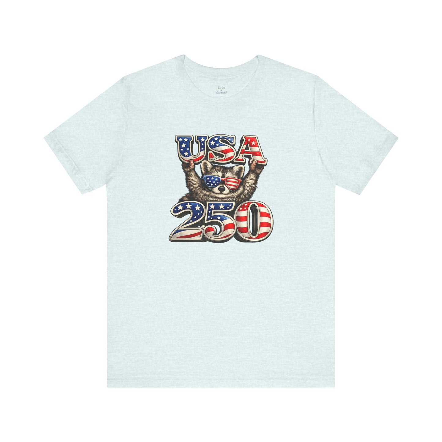 Patriot Raccoon 250th Anniversary T-Shirt — 4th of July Fireworks Flag Tee