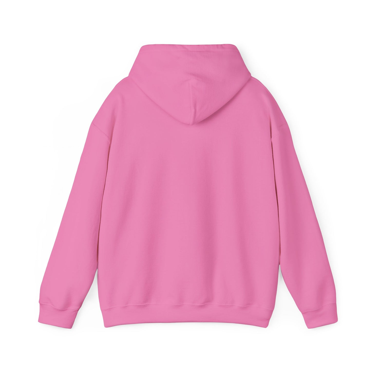 Dancing Raccoon "Maniac" Hooded Sweatshirt