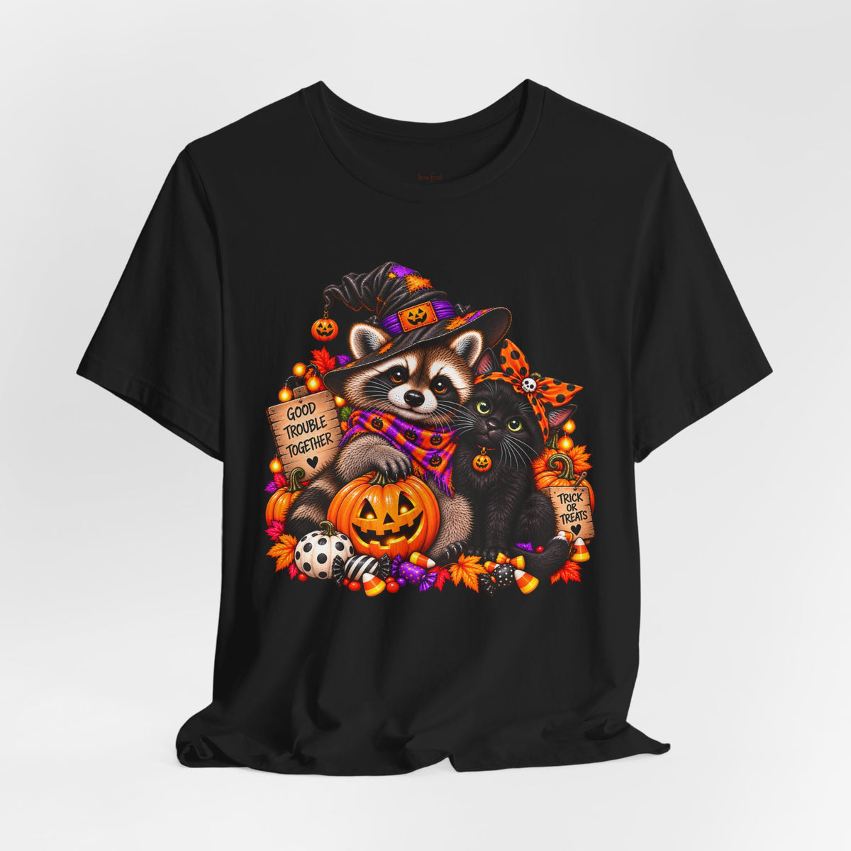 Halloween Raccoon and Black Cat T-Shirt