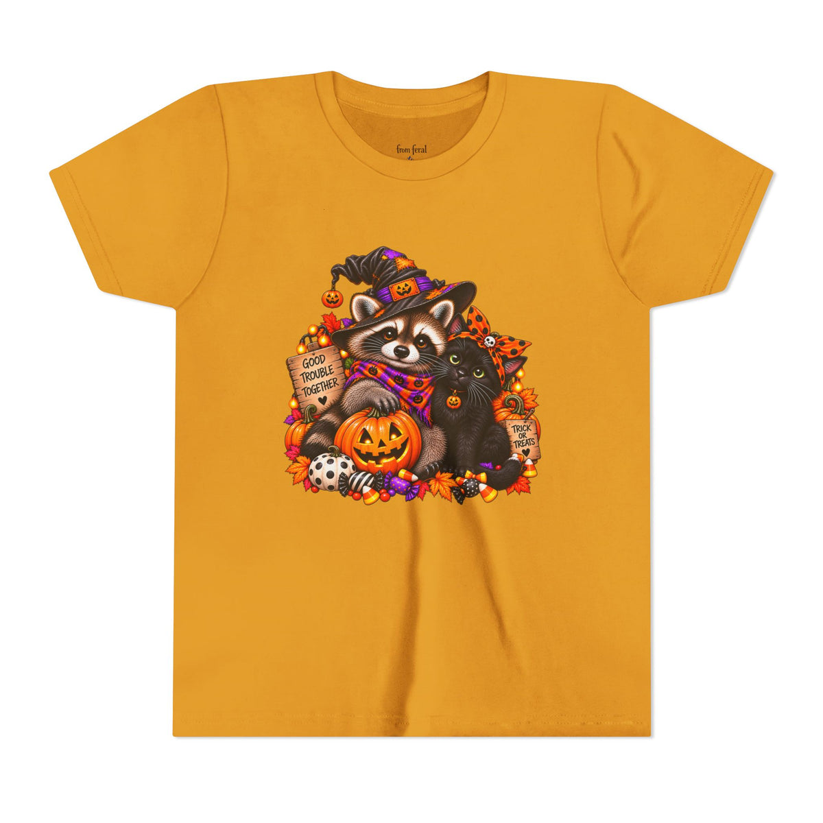Halloween Youth Tee — Raccoon with it's Black Cat Bestie Kids Tshirt