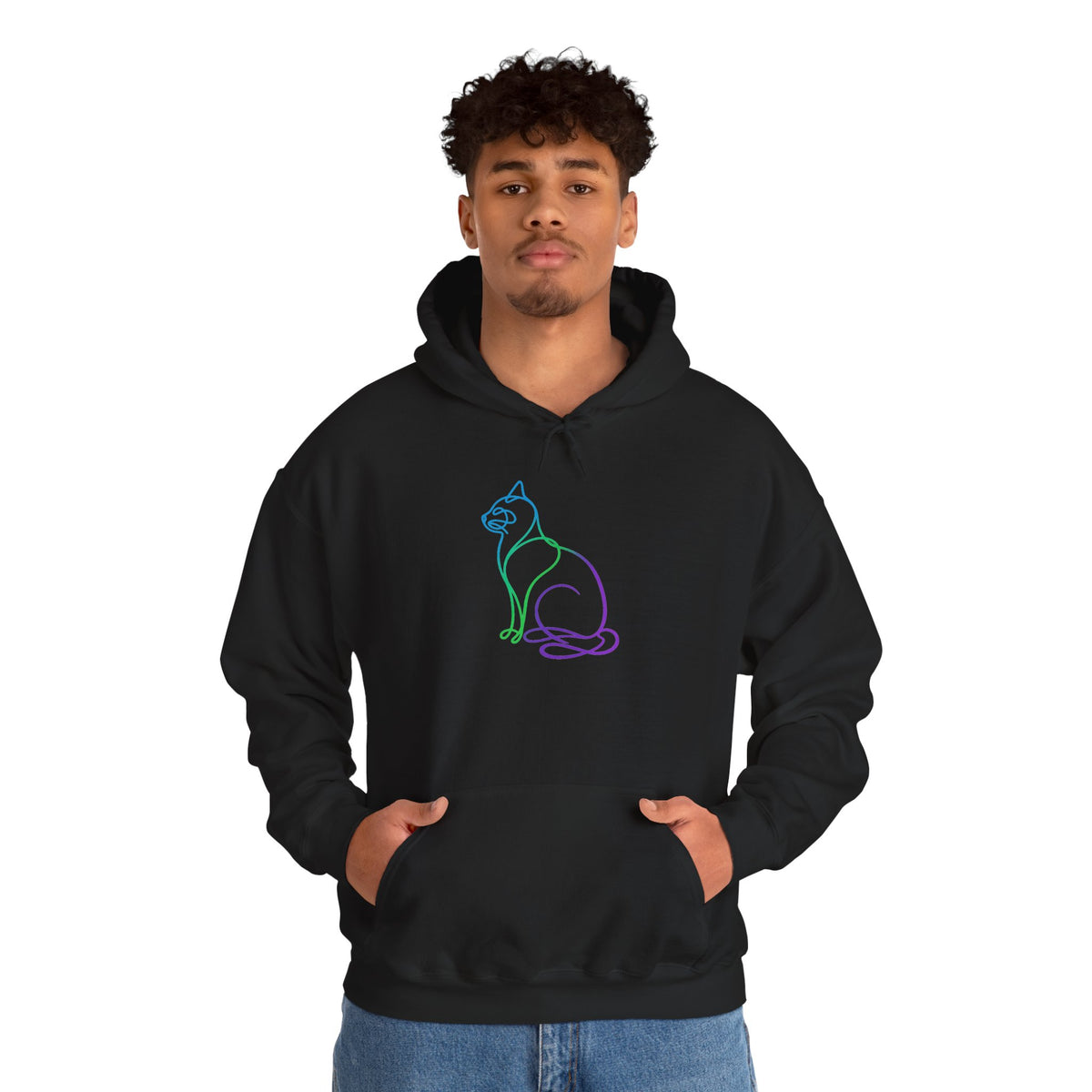 Northern Lights Cat Hooded Sweatshirt