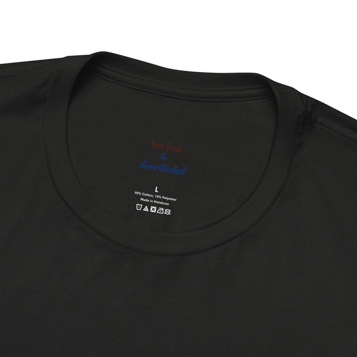 Owl | Colorful Line-Work T-Shirt