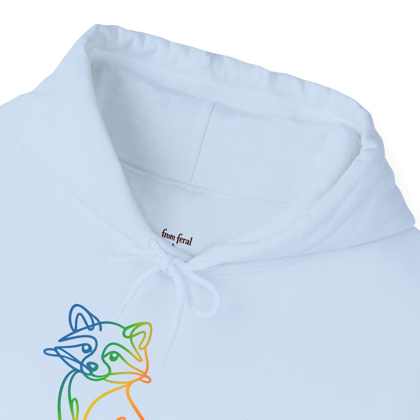 Rainbow Line Art Raccoon Hoodie