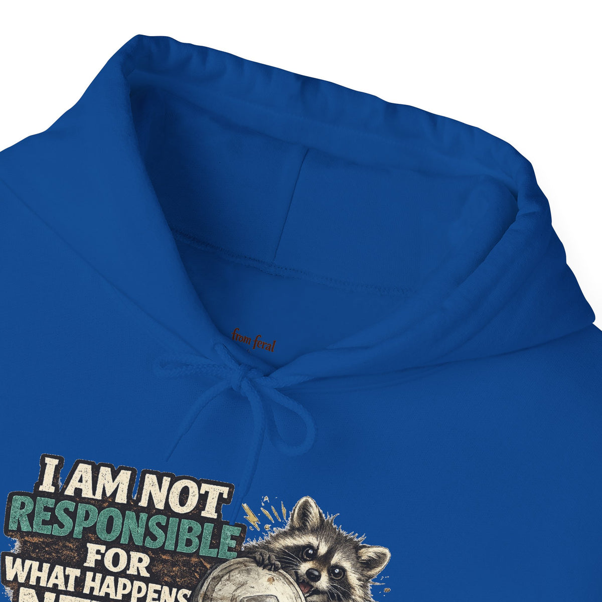 Not Responsible Raccoon Hooded Sweatshirt