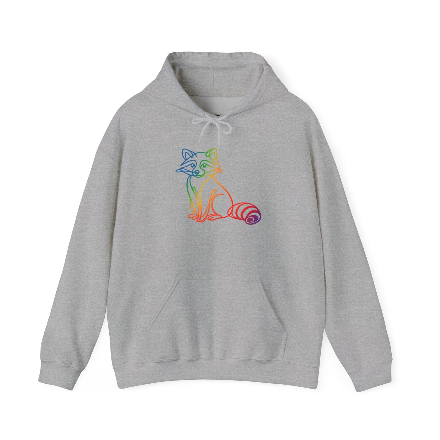 Rainbow Line Art Raccoon Hoodie