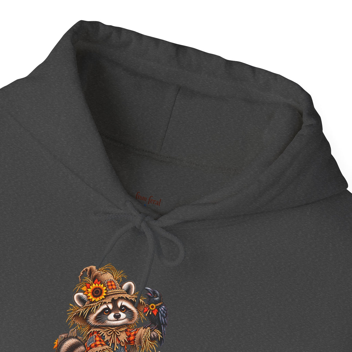 Scarecrow Raccoon Hooded Sweatshirt