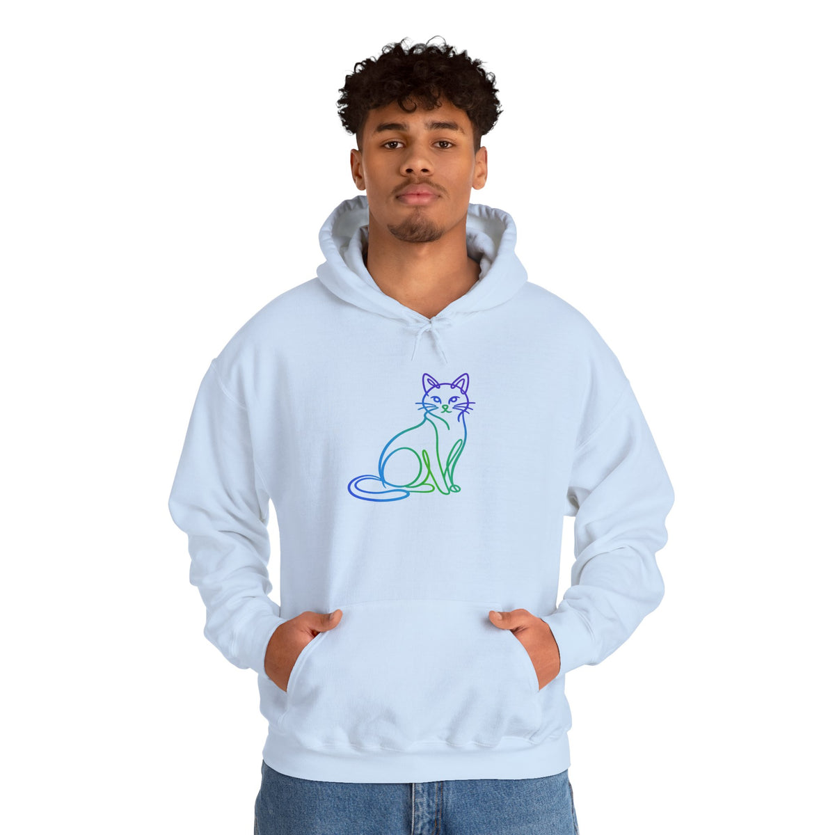 Northern Lights Cat Hooded Sweatshirt