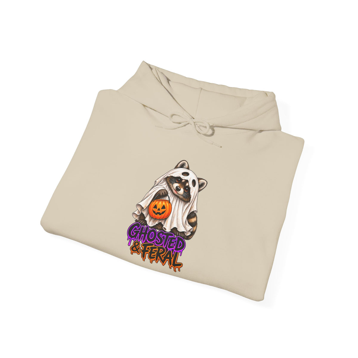Ghosted Raccoon Hooded Sweatshirt