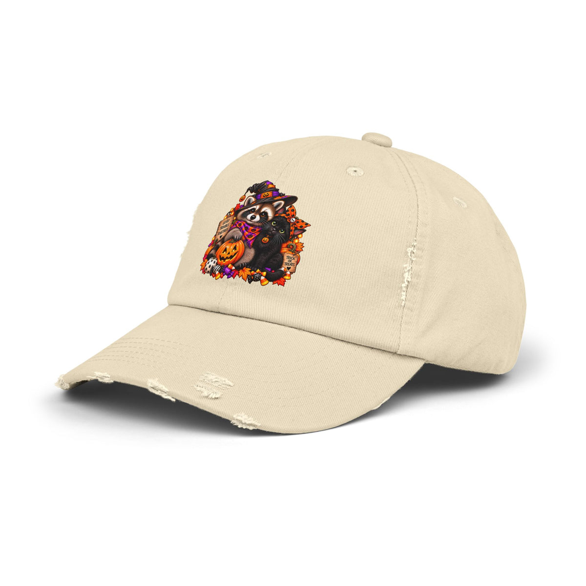 Halloween Raccoon and Black Cat Bestie Distressed Baseball Hat