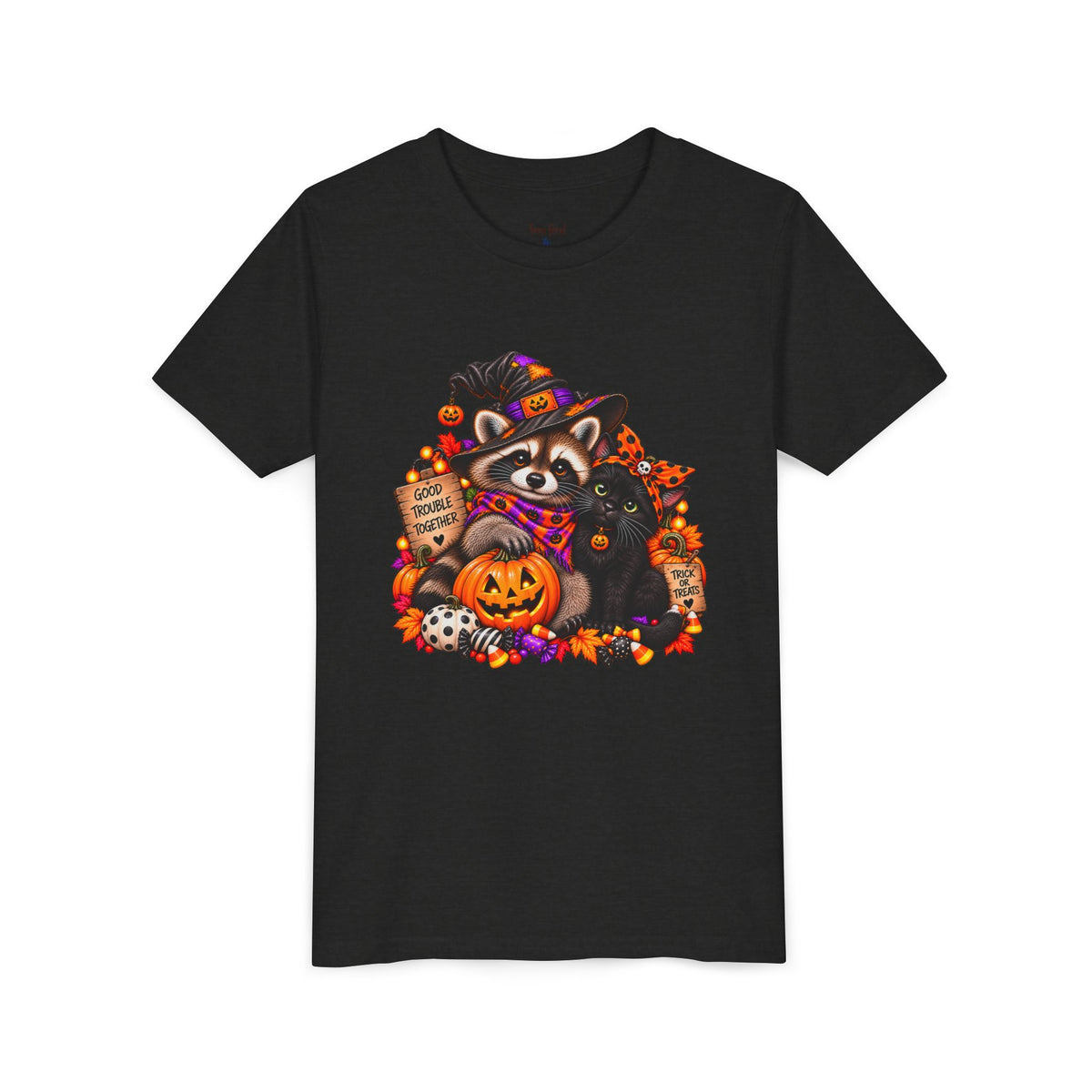 Halloween Youth Tee — Raccoon with it's Black Cat Bestie Kids Tshirt
