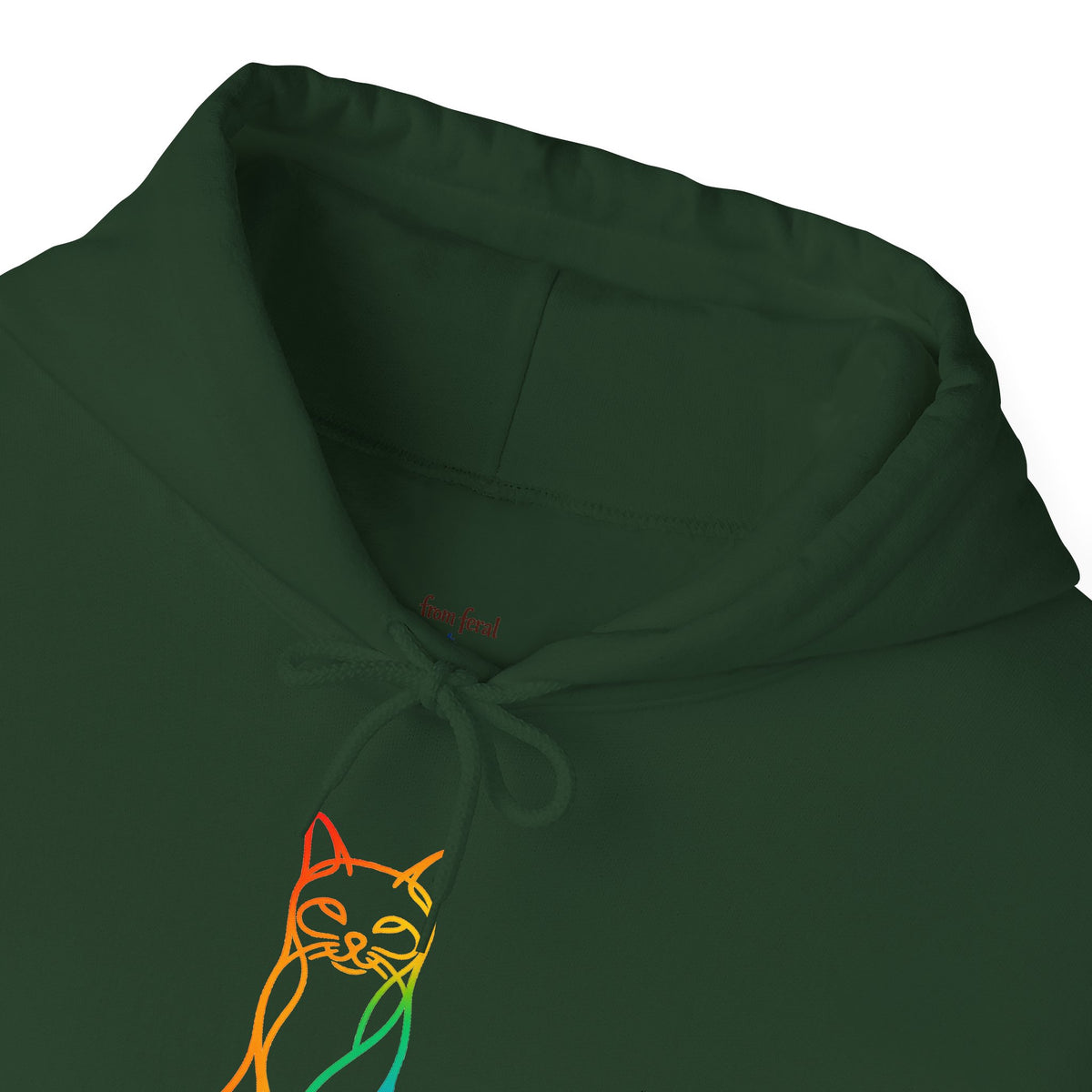 Rainbow Cat Hooded Sweatshirt