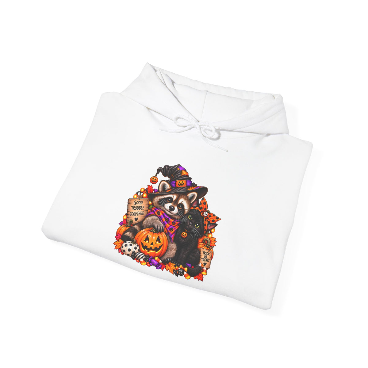 Halloween Raccoon and Black Cat Bestie Hooded Sweatshirt
