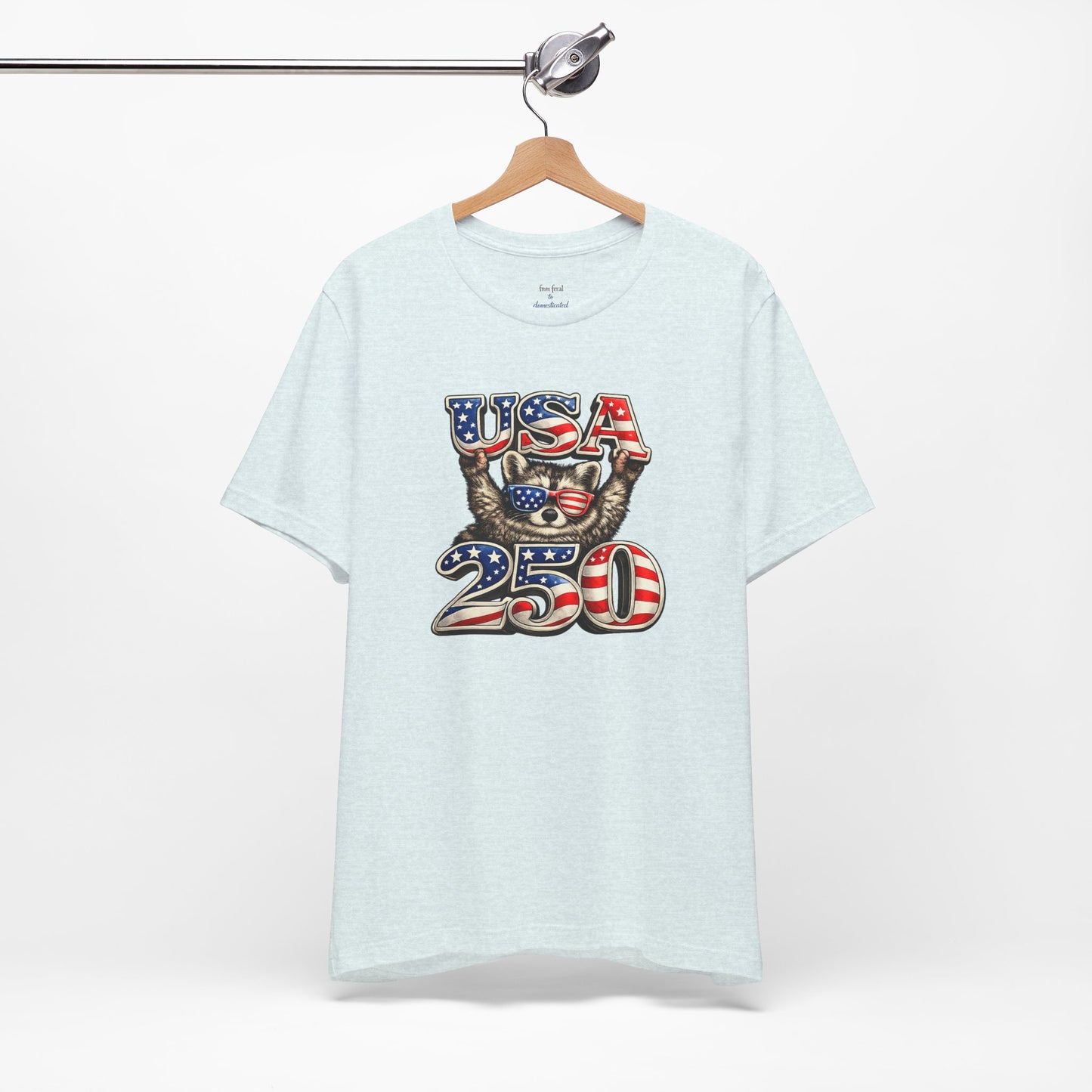 Patriot Raccoon 250th Anniversary T-Shirt — 4th of July Fireworks Flag Tee