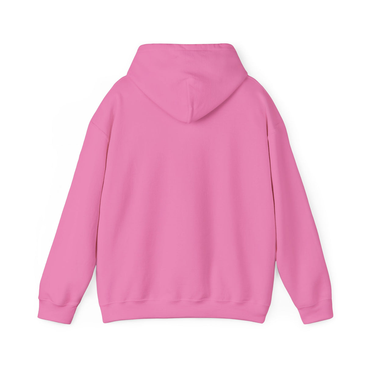 Raccoon "Ferally Doing My Best" Hooded Sweatshirt